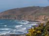 La baie d'Ecalgrain 500 mtres