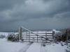 Barrire de la Hague sous la neige ... trs rare ...